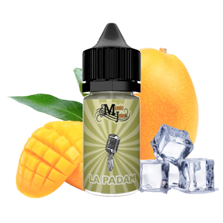 ARÔME LE PADAM MUSIC JUICE 30 ml